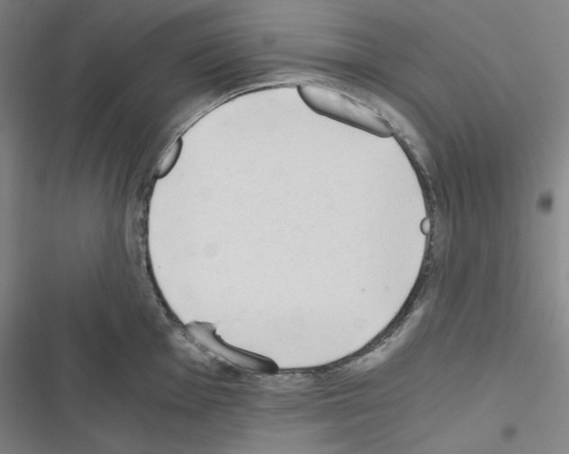 X0000116641001201001251132