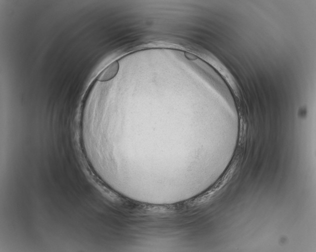 X0000116641002201001251132