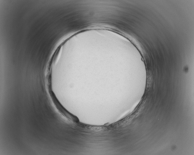 X0000116641003201001251132