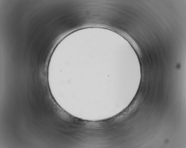 X0000116641004201001251132