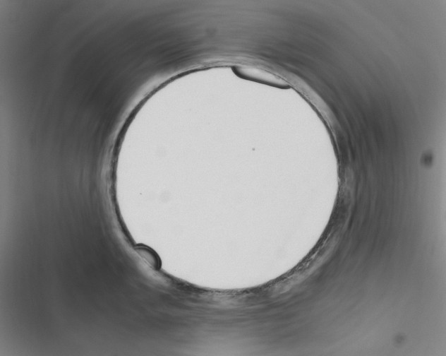 X0000116641005201001251132