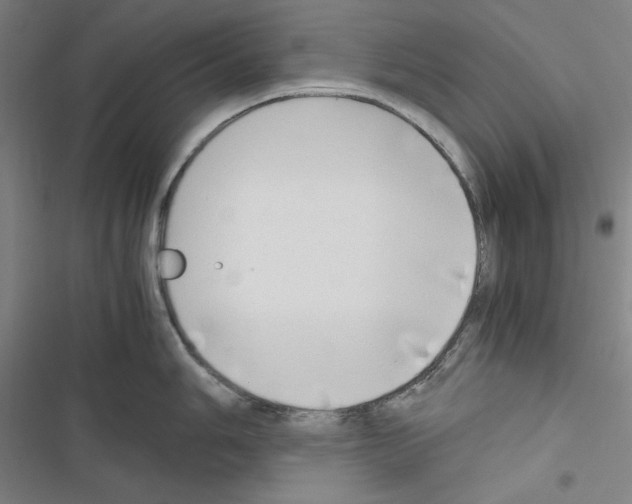 X0000116641006201001251132