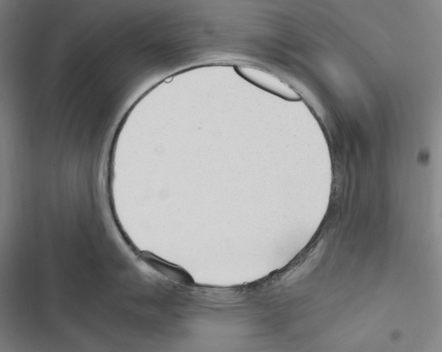 X0000116641007201001251132