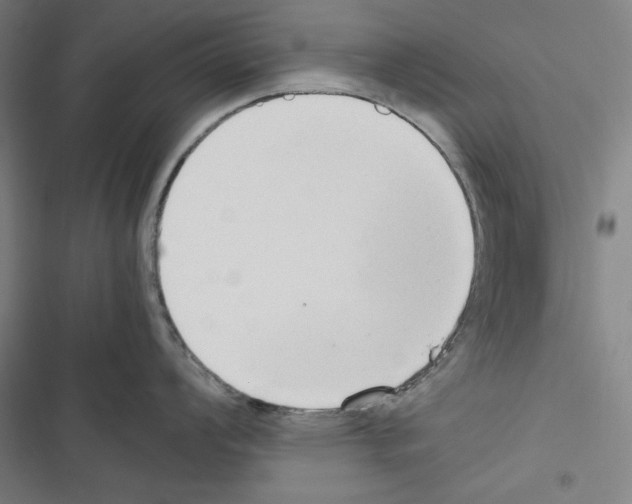 X0000116641008201001251132