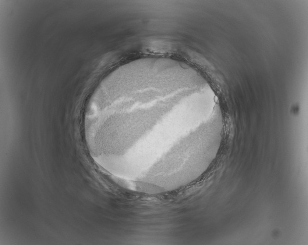 X0000116641009201001251131