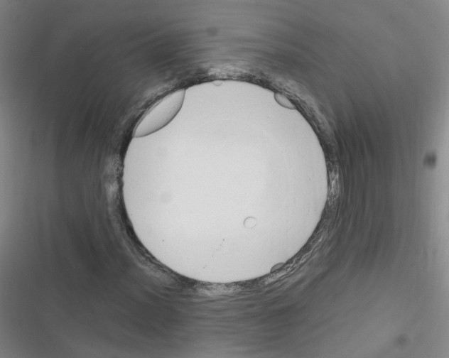 X0000116641012201001251131