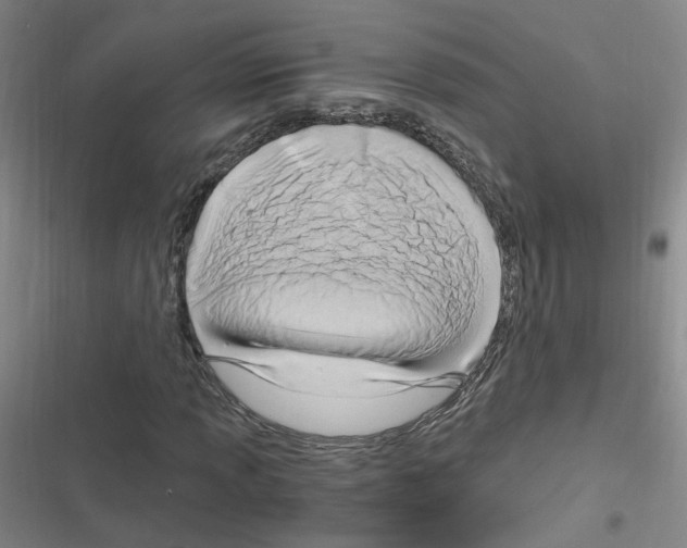 X0000116641013201001251131