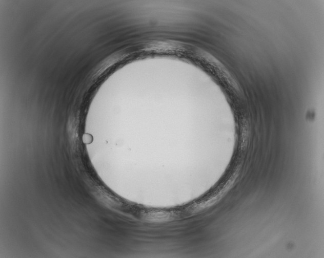 X0000116641017201001251131