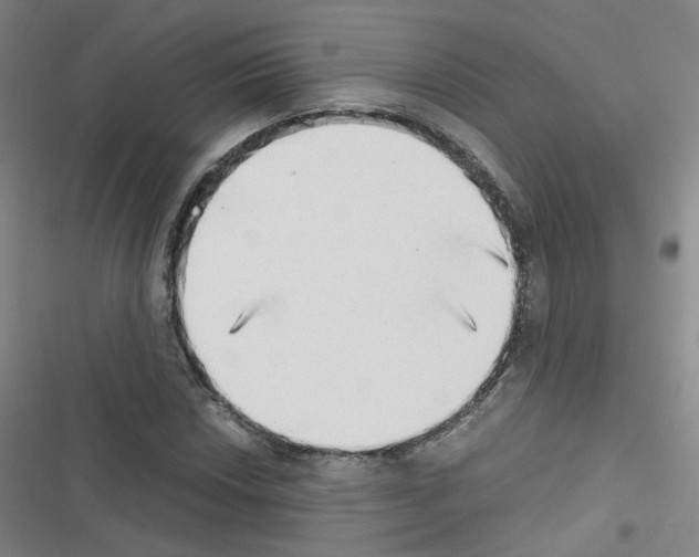 X0000116641018201001251131