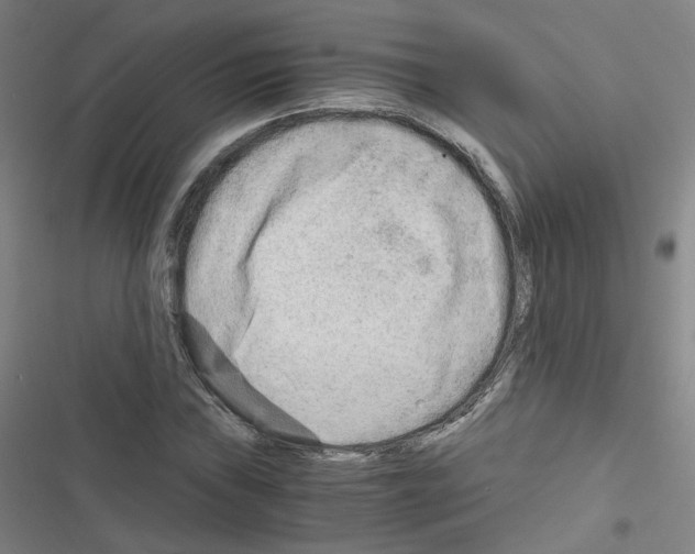 X0000116641019201001251131