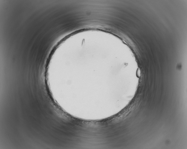 X0000116641020201001251131