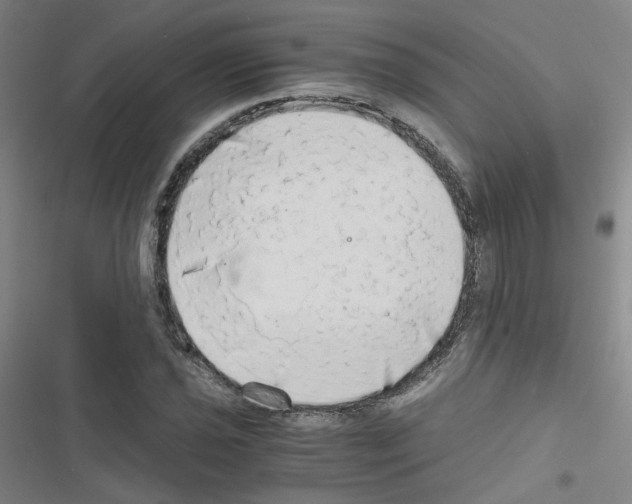 X0000116641021201001251131