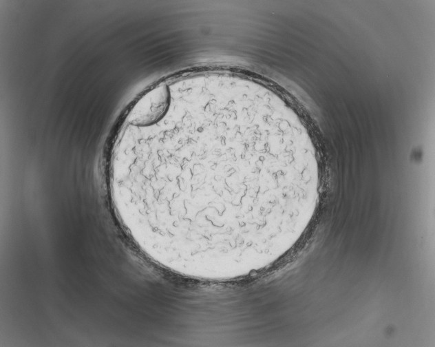 X0000116641022201001251131