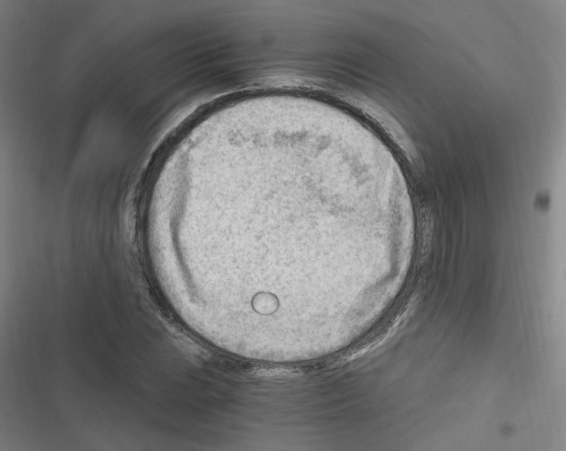 X0000116641023201001251131