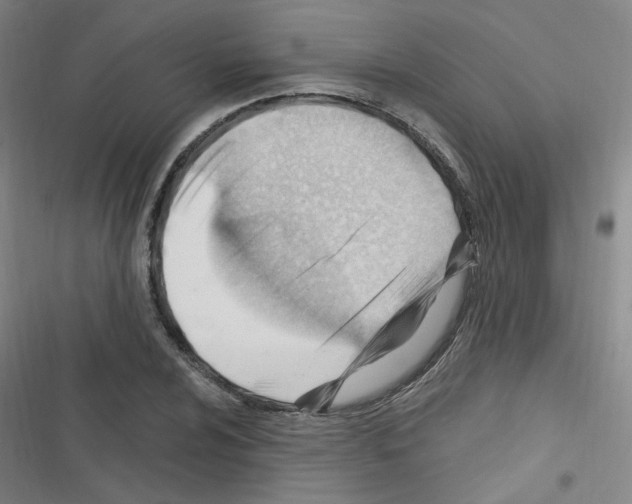 X0000116641024201001251131