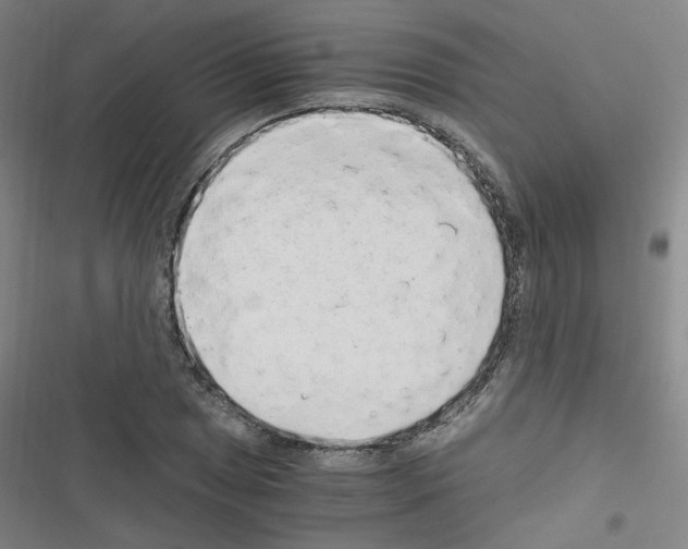 X0000116641025201001251131