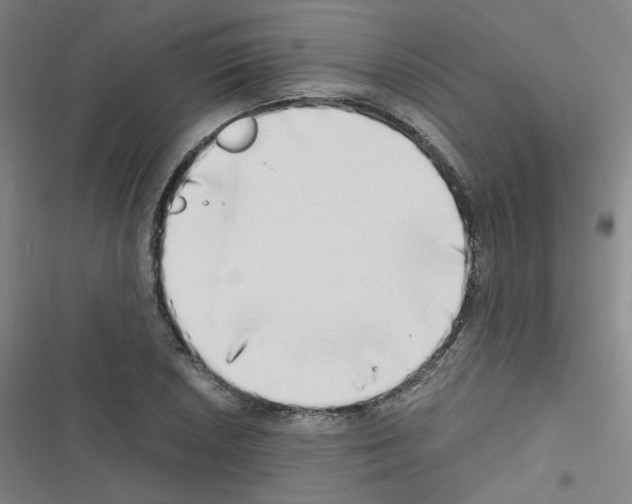 X0000116641026201001251131