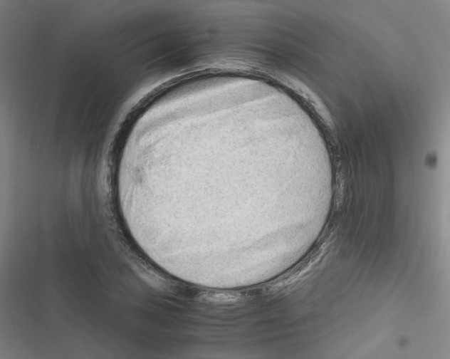 X0000116641027201001251131