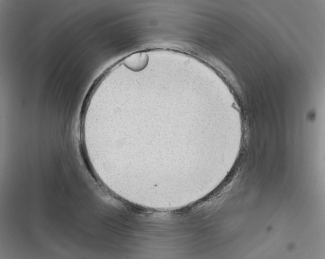 X0000116641028201001251131