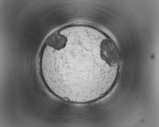 X0000116641029201001251131