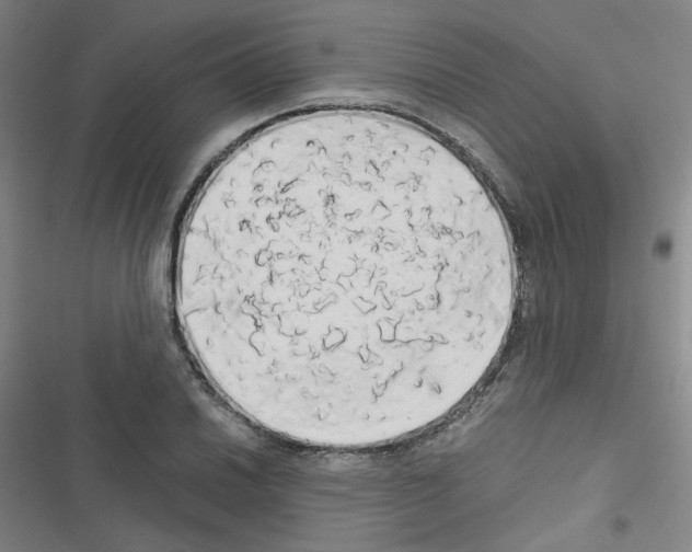 X0000116641030201001251131