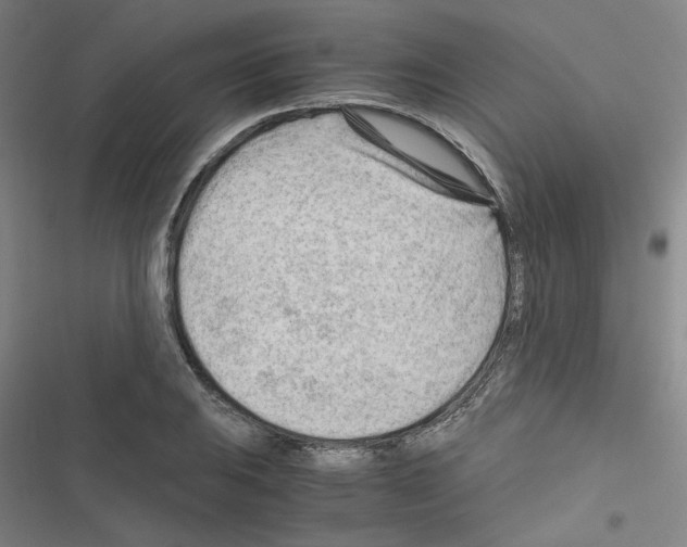 X0000116641031201001251131