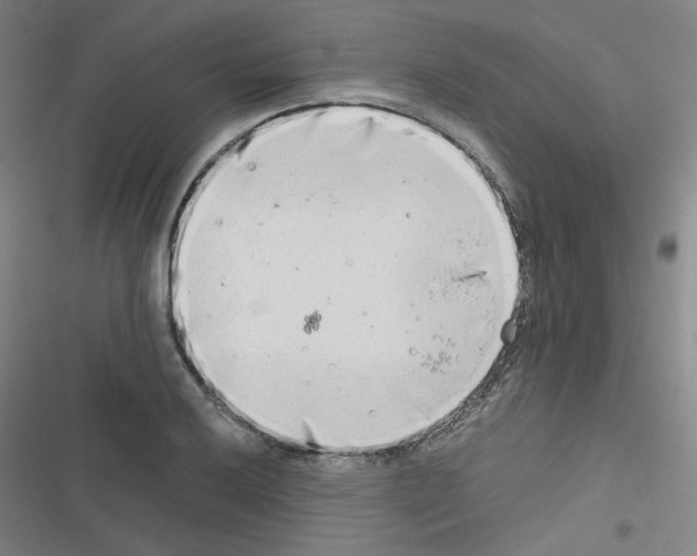 X0000116641032201001251131