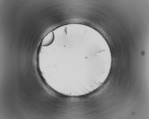 X0000116641034201001251131