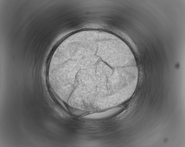 X0000116641035201001251131