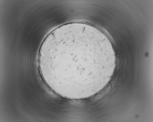 X0000116641036201001251131