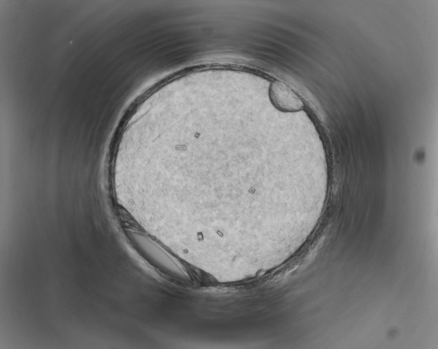 X0000116641037201001251132