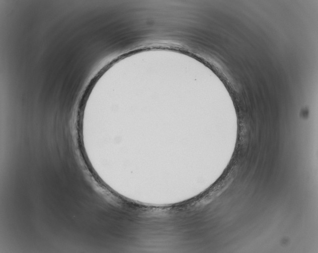 X0000116641038201001251132