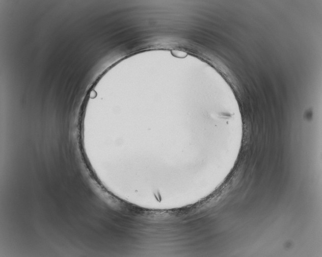 X0000116641042201001251132