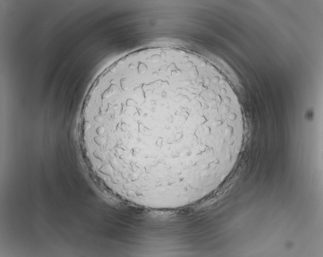 X0000116641044201001251132