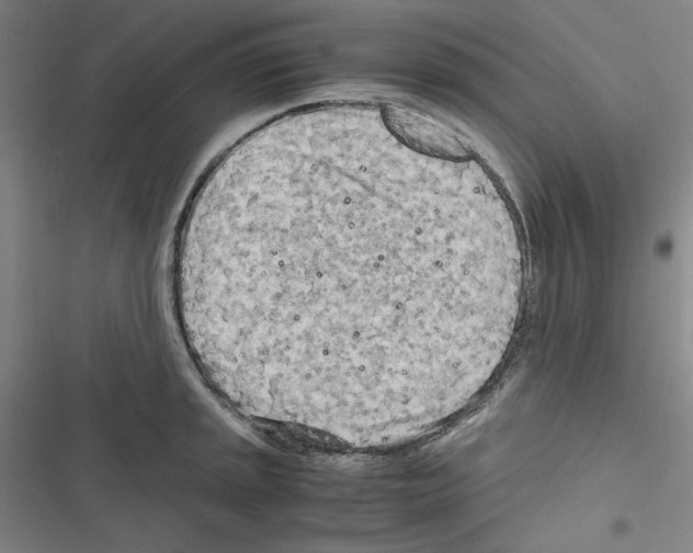 X0000116641045201001251132