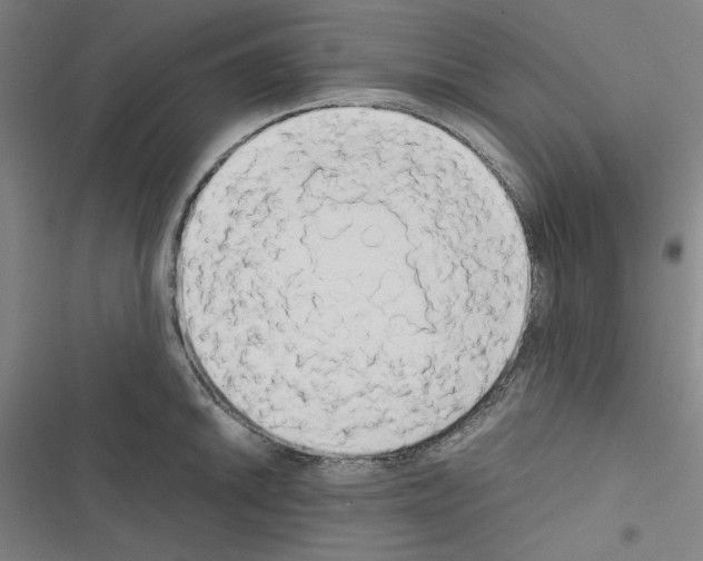 X0000116641046201001251132