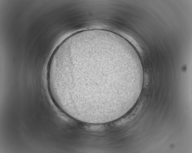 X0000116641047201001251132