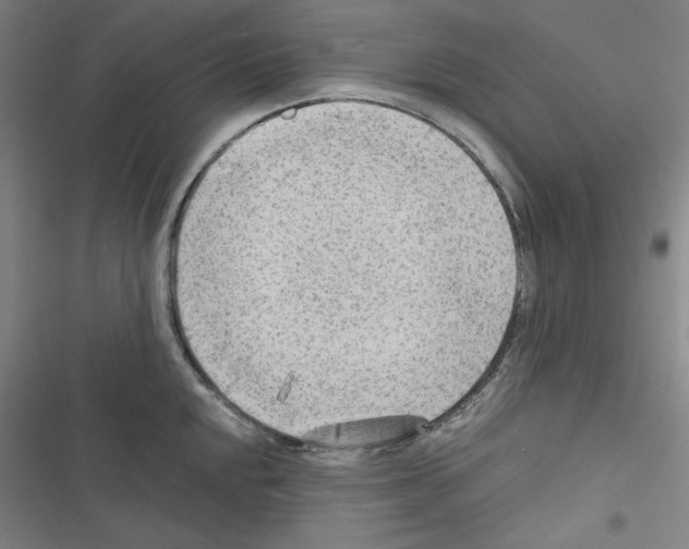 X0000116641048201001251132