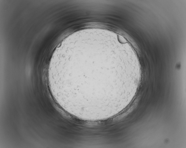 X0000116641049201001251132