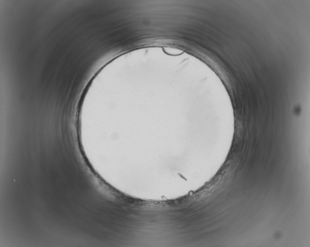 X0000116641050201001251132