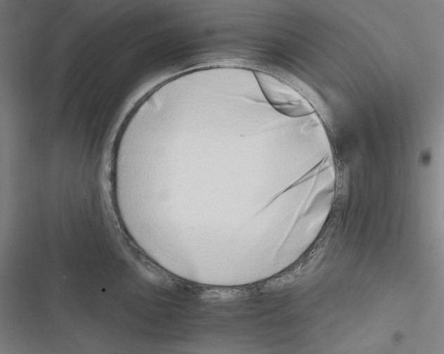 X0000116641051201001251132