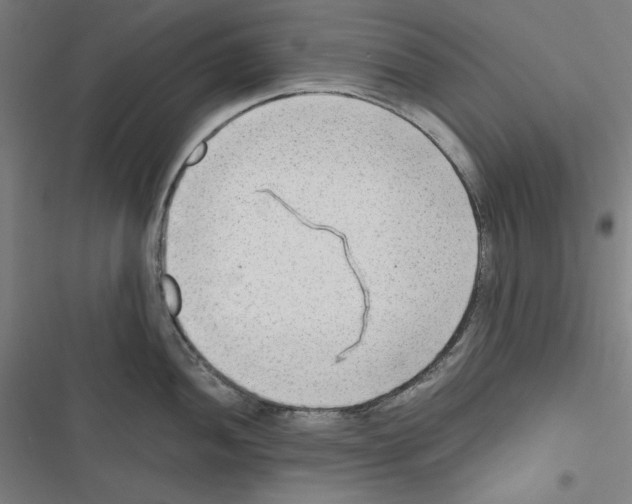 X0000116641052201001251132