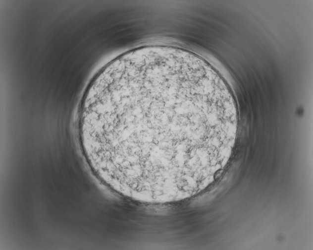 X0000116641053201001251132