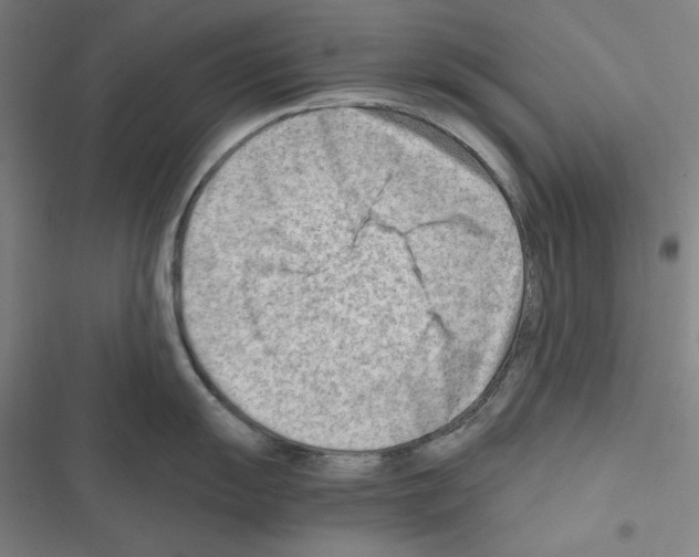 X0000116641055201001251132