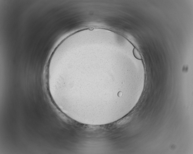 X0000116641056201001251132