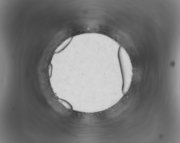 X0000116641057201001251131