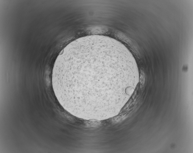 X0000116641058201001251131