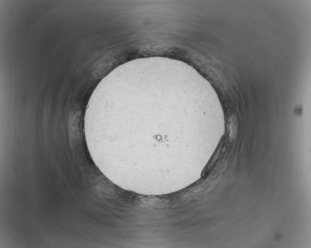 X0000116641059201001251131