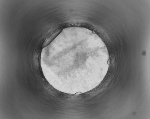 X0000116641060201001251131