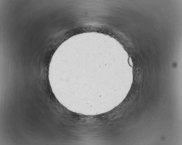 X0000116641061201001251131